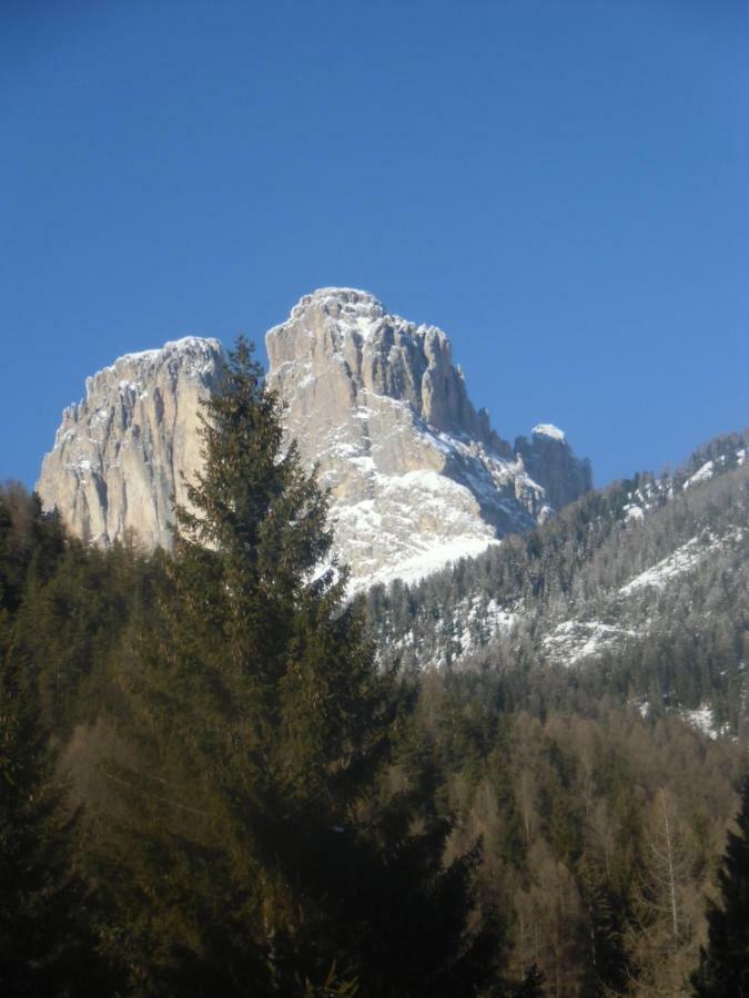 Garni Festil Hotel Campitello di Fassa Exterior foto